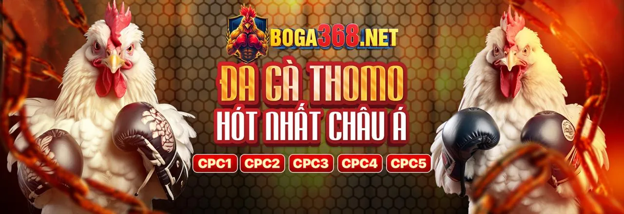 Hình ảnh hỗ trợ khách hàng bcx88 bet