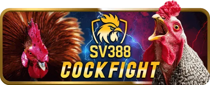 Hướng dẫn toàn diện về bcx88 Bet và các loại cược